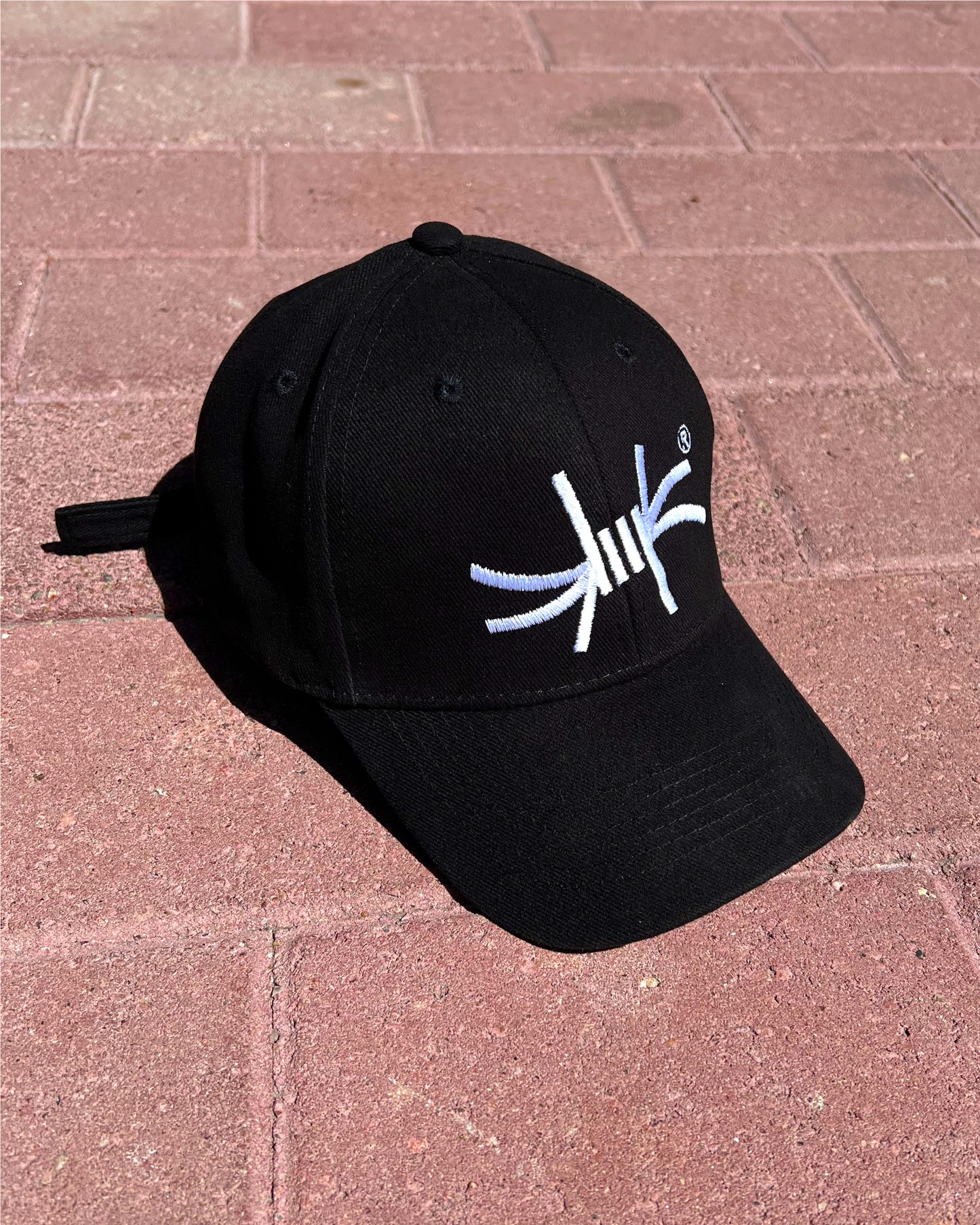 GORRO CHSP Logo 2.0